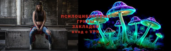 2c-b Ладушкин