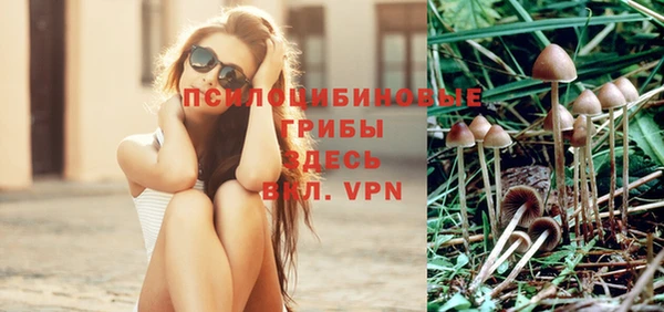 каннабис Лабытнанги