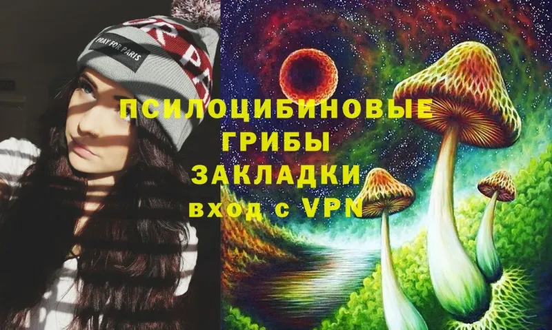 Галлюциногенные грибы MAGIC MUSHROOMS  omg онион  Ужур  цены наркотик 