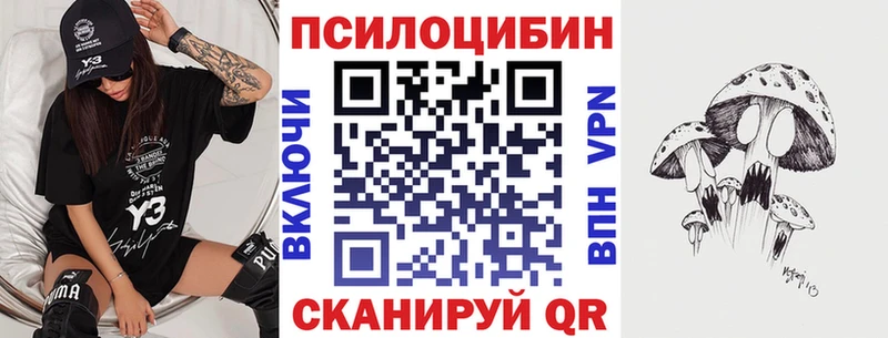 купить  цена  Ужур  Псилоцибиновые грибы Magic Shrooms 